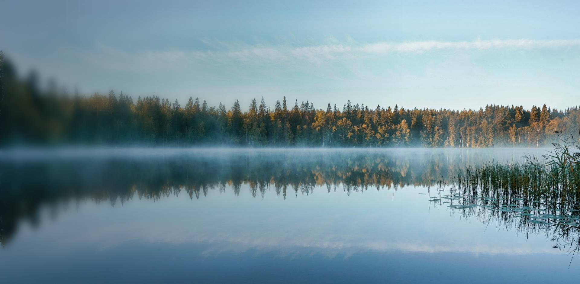 高端軟件定制開發！滿意為止！用結果證明實力！